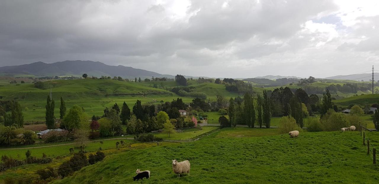 Above The River Karapiro Bed & Breakfast Dış mekan fotoğraf